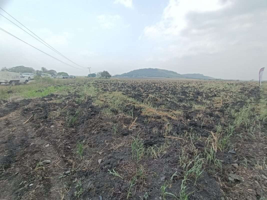 Tamaulipas y el resto del país, viven una crisis de falta de agua: conagua