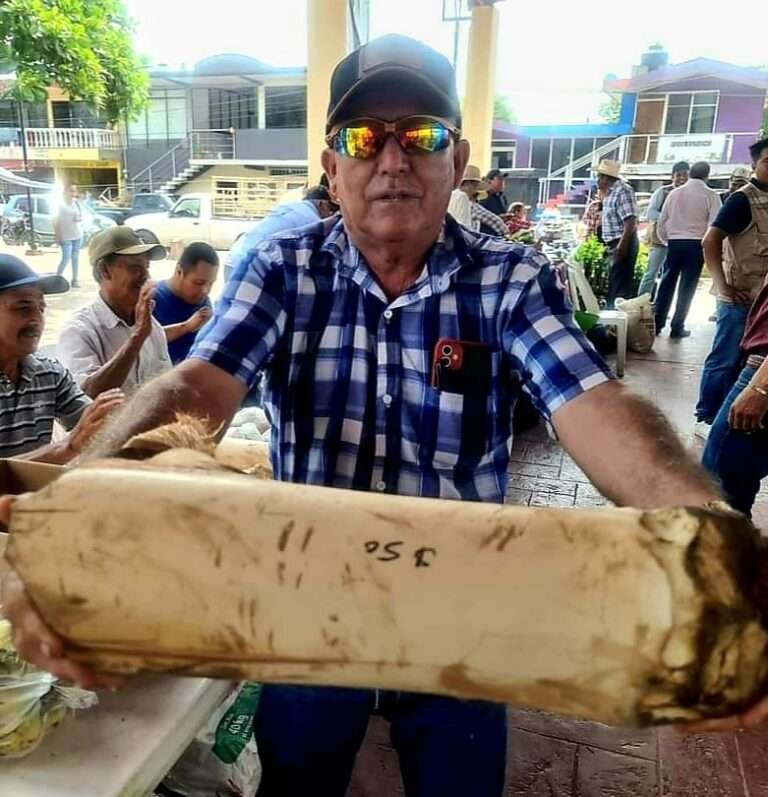 Celebraran Tianguis Campesino en Tampico Alto