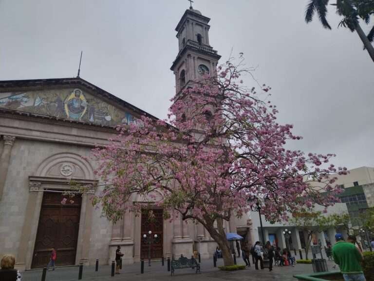 Catedral requiere de Cirugía Mayor: Obispo de Tampico 