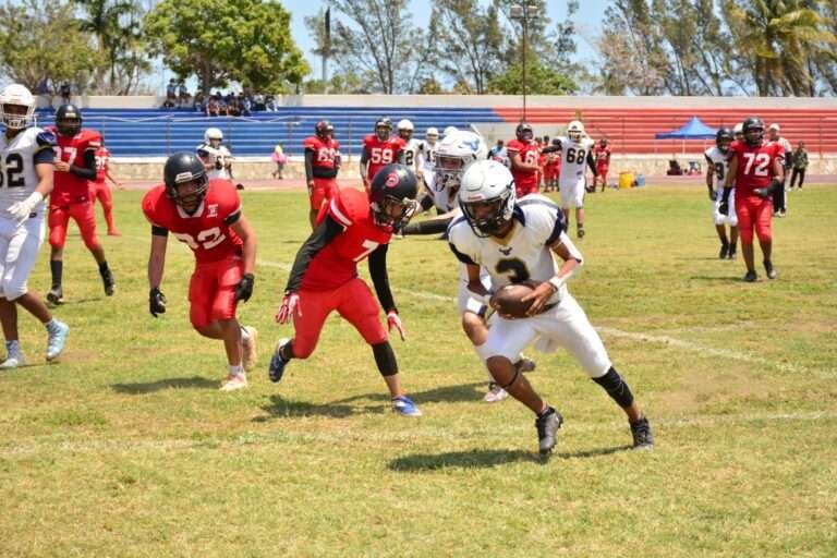 Cuernos Largos Vs. Búhos Tampico, por la localía en Semifinal
