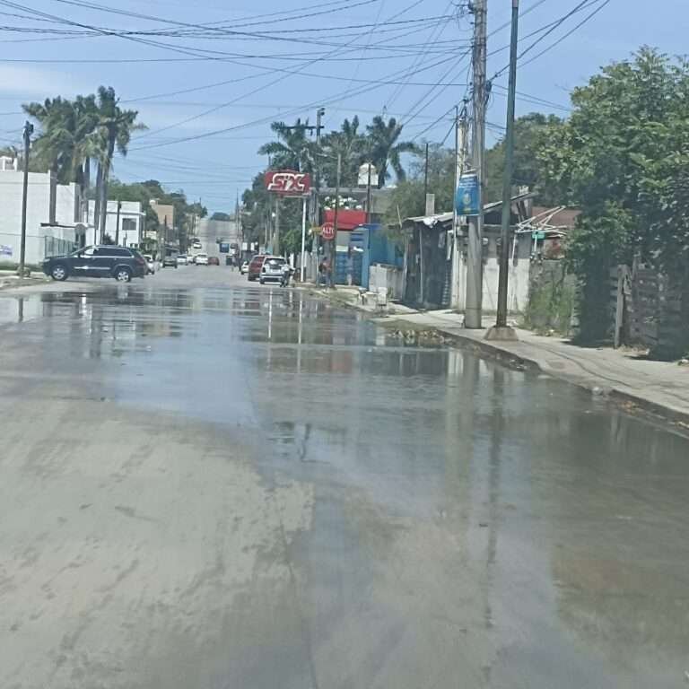 Indignante desperdicio de agua por fugas que la COMAPA Sur no repara