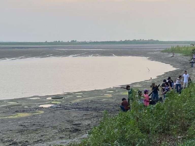 Más de 100 personas logran limpiar una parte de la laguna de champayan en Altamira
