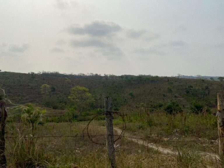 Escasa la producción agrícola