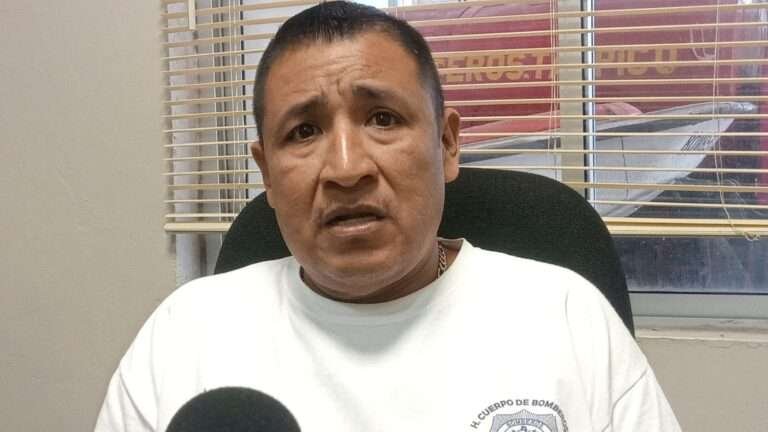 Disminuyen Avistamientos de Cocodrilos