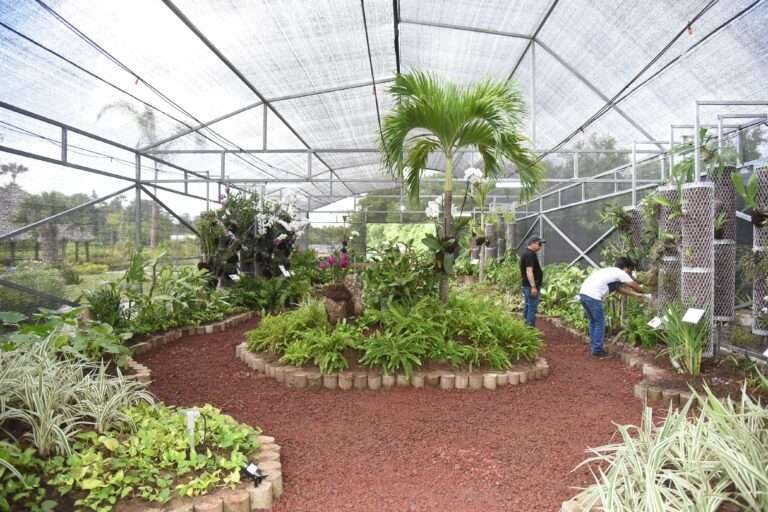 Tampico se Confirma como un Atractivo Destino para la Inversión y el Turismo