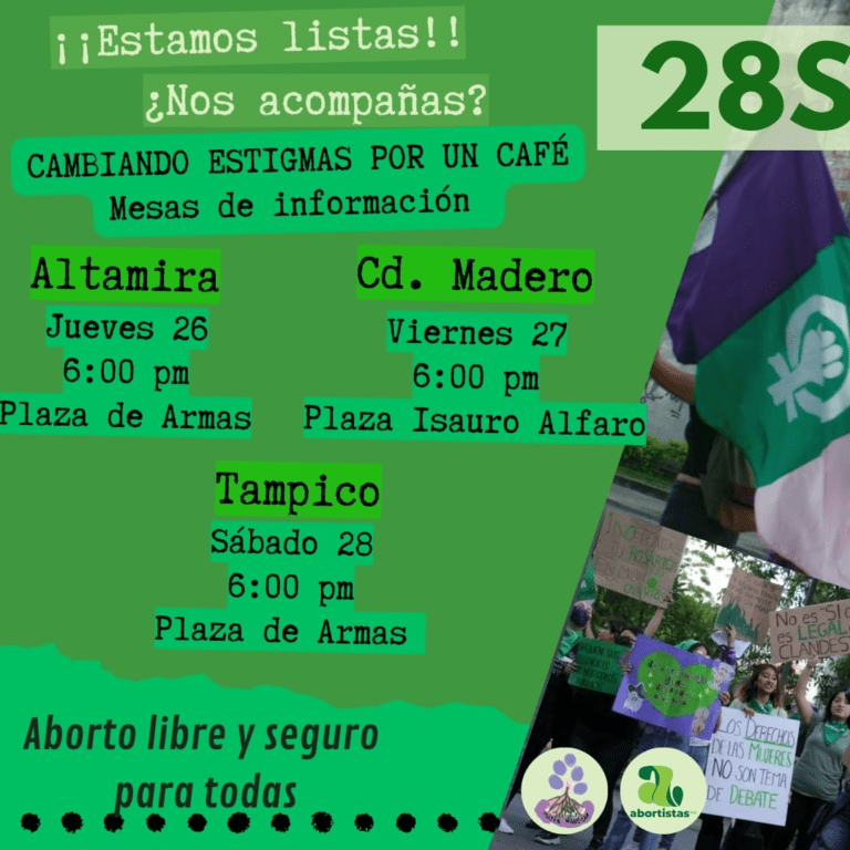 Anuncian marchas y actividades pro aborto en municipios de la zona sur