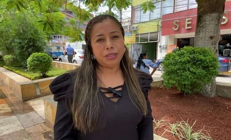 Continúan trabajos de decoración del parque Constitución