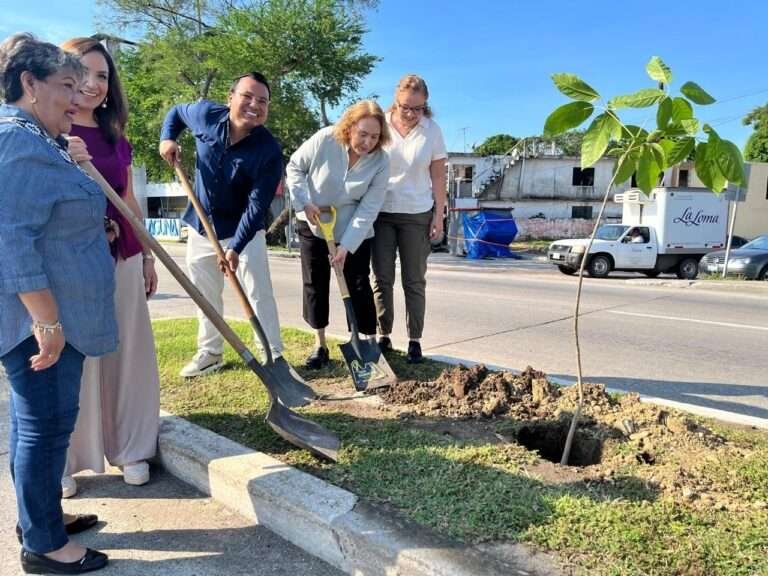 Inicia Ecología Municipal Amplia Campaña de Arborización en Tampico