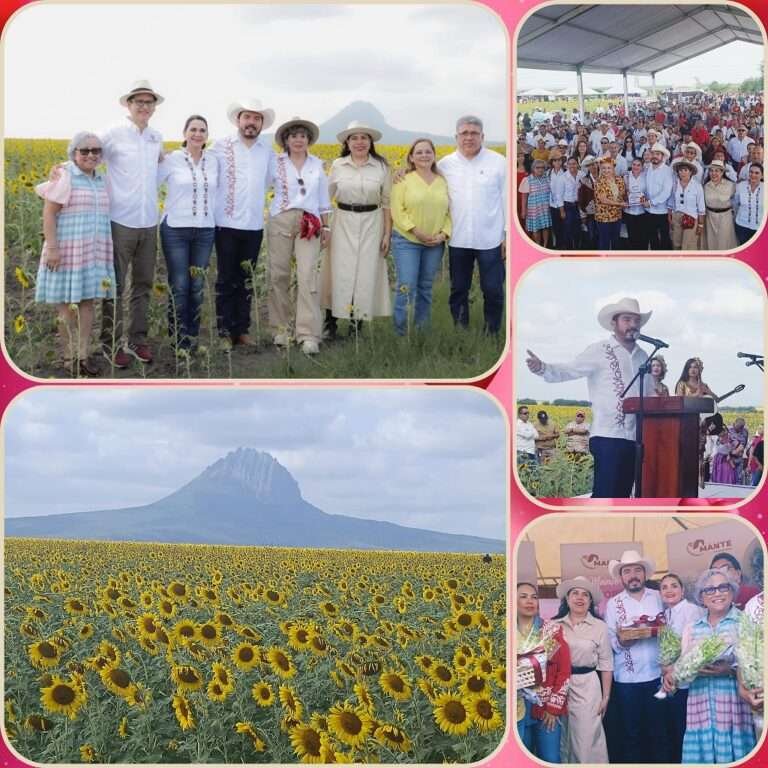 DAN LA BIENVENIDA A MILES DE VISITANTES EN EL CAMPO DE GIRASOLES DE GONZALEZ