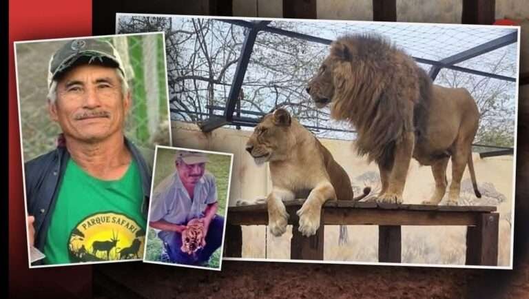 Piden Justicia por Cuidador Fallecido en el Zoológico de Altamira