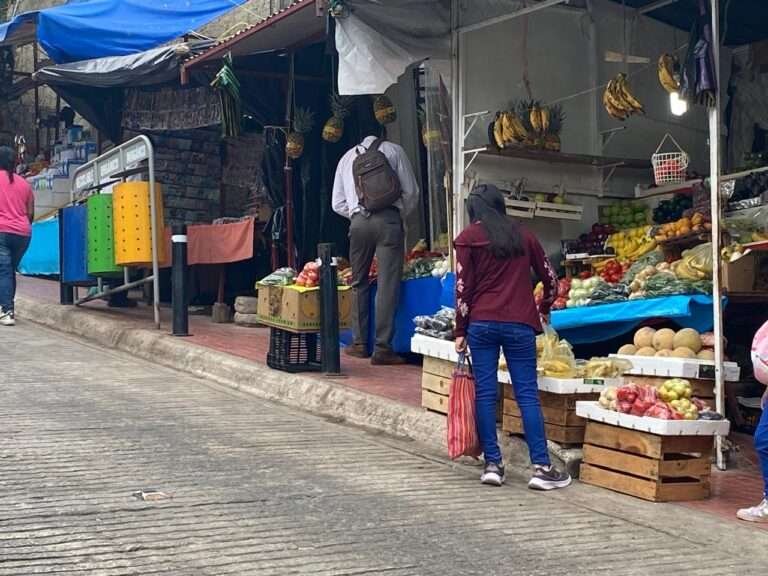 En Tantoyuca comercio ambulante debe respetar los espacios asignados