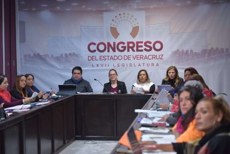 Continúa análisis de las aportaciones para tipificar la violencia vicaria