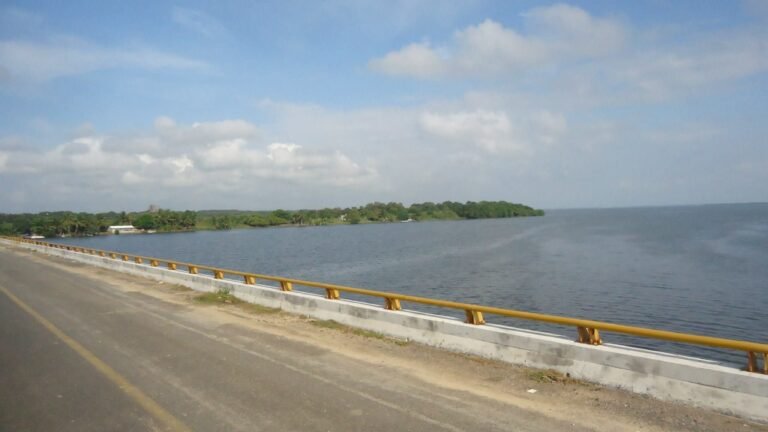 Indignación en Isla Juan A. Ramírez por retraso en pagos del proyecto de reforestación de manglares de SEMARNAT y CONAFOR