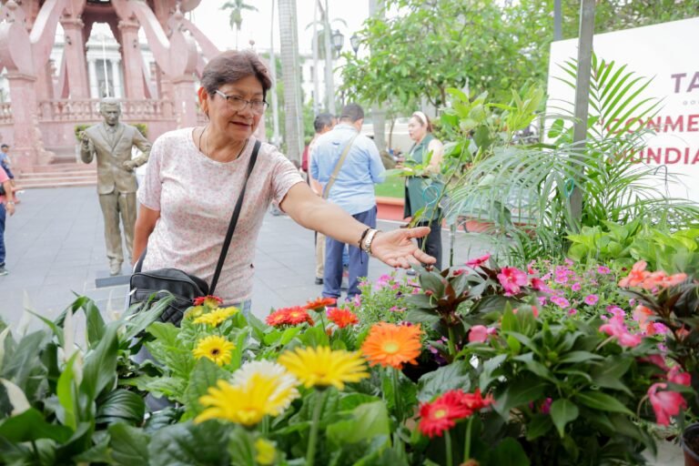Tampico celebra el Día Mundial del Árbol con actividades de concientización y reforestación