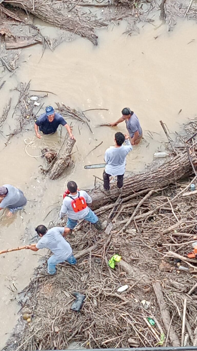 Quitan una palizada que amenazaba con derrumbar Puente «La Carolina» en El Higo.