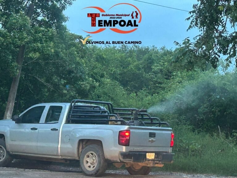 Inician brigadas de fumigación en Tempoal para prevenir enfermedades