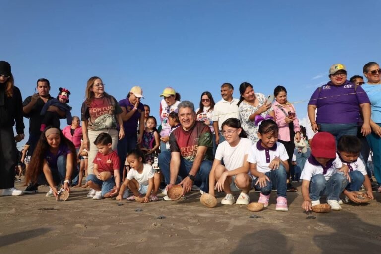 Liberan más de 400 crías de tortuga Lora en Playa Tesoro