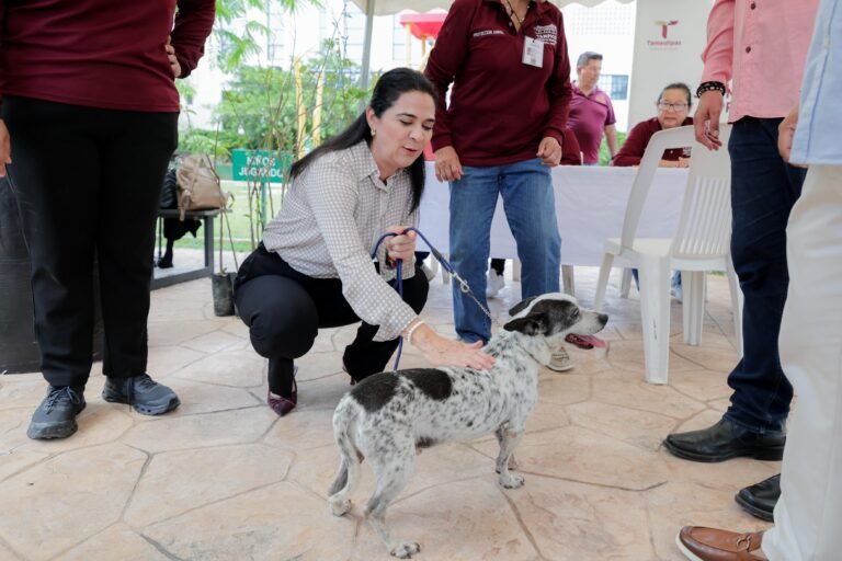 Encabeza Mónica Villarreal Jornada Ecológica y de Protección Animal en la colonia Los Pinos.
