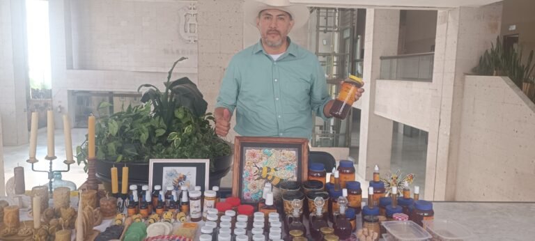 Veracruz produce la mejor miel de México