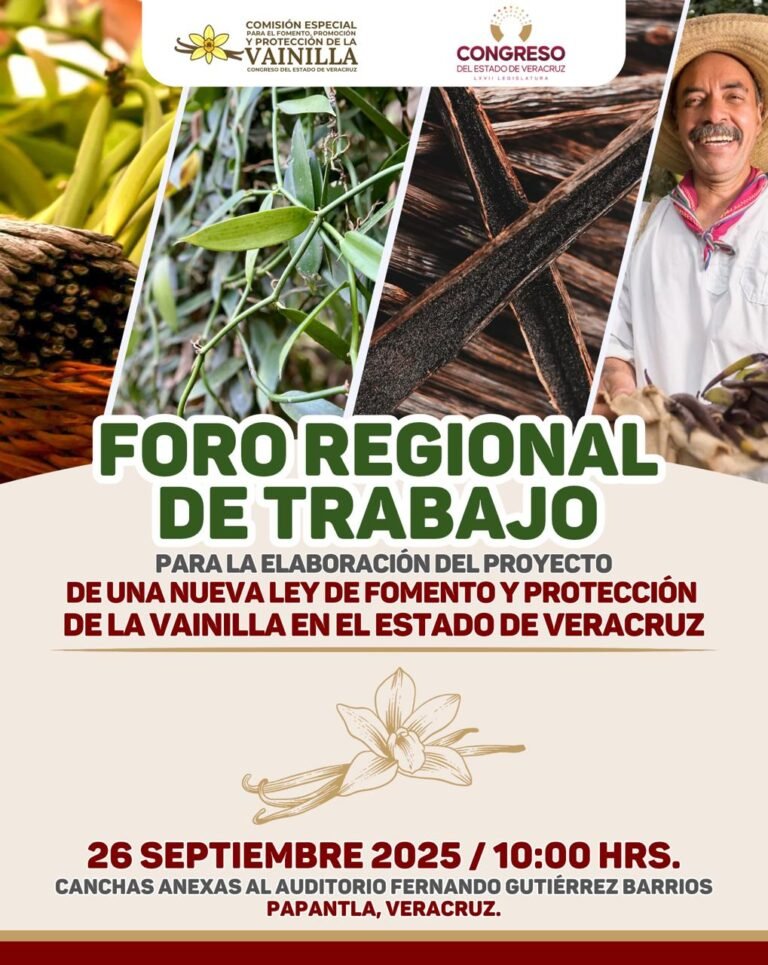 Anuncia diputada foros regionales para elaborar nueva Ley de la Vainilla