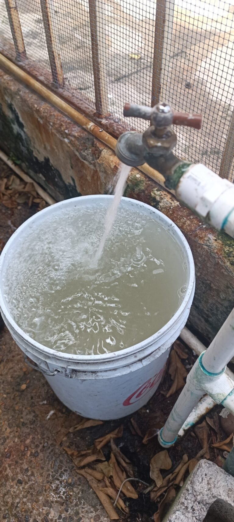 Las “cochinadas” de Comapa Zona Sur