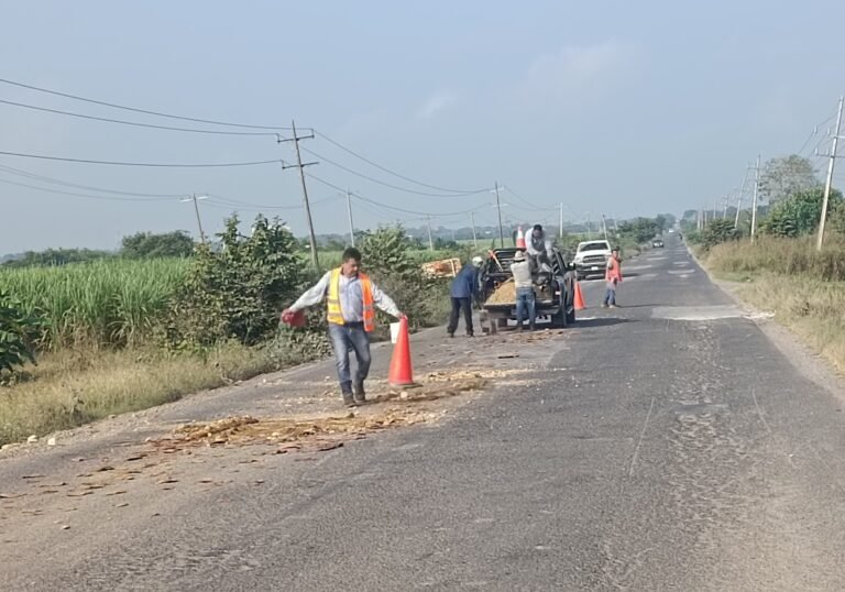 Con cáscara de coco y tierra tapan baches en la carretera “Y” al Higo