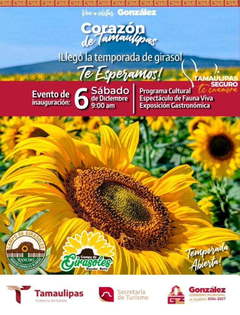 Anuncia Alcalde de González Apertura de Temporada de Girasoles 2025