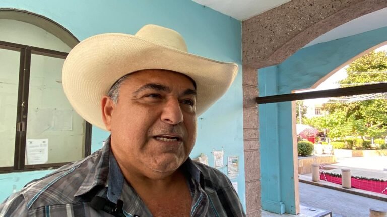 Lluvias reactivan el campo en Tantoyuca: se prevé mejor producción agrícola y ganadera