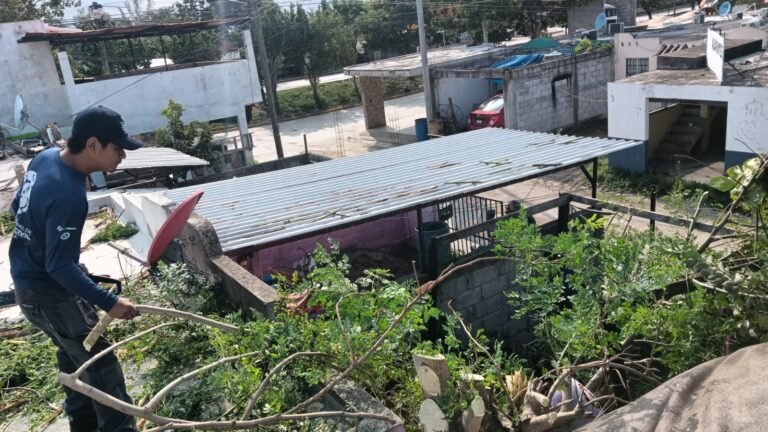 Atiende Gobierno de Altamira afectaciones por frente frío