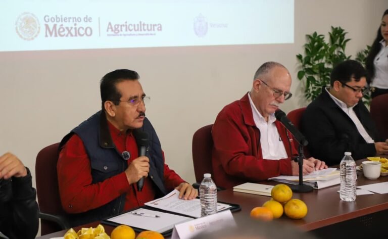 Planea SADER y Sedarpa recuperarla citricultura en la zona norte de Veracruz