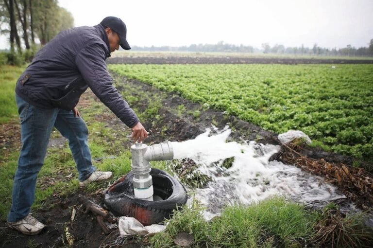 Invita Conagua a usuarios agrícolas de Veracruz a regularizar sus títulos de concesión de agua