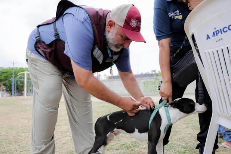 Gobierno de Tampico refrenda su compromiso con la protección y el bienestar animal