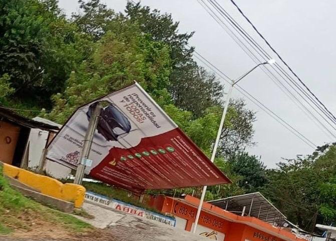 Vientos del frente frío 41 derriban árboles en Tantoyuca; PC actúa para evitar riesgos