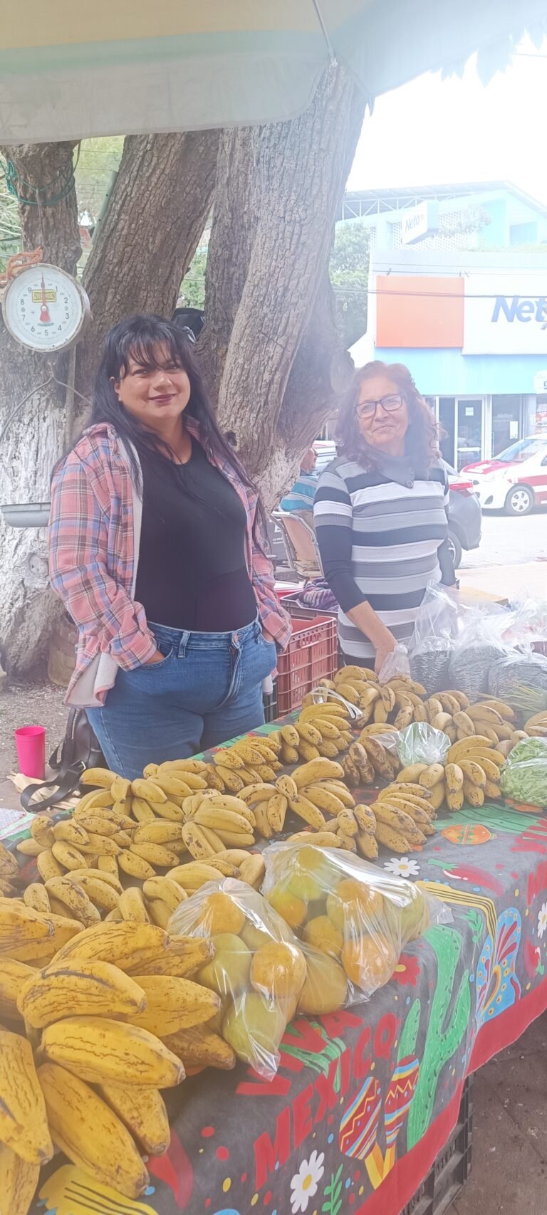 Escuela Campesina de Ozuluama exige apoyo estatal para no frenar producción rural