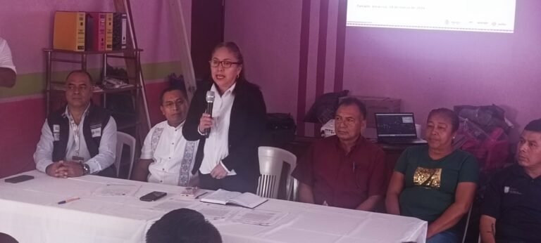 Tamalín comités de seguridad pública y participación ciudadana