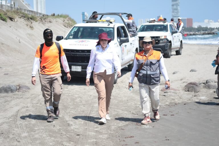 Veracruz mantiene playas limpias pese a hidrocarburo en el Golfo