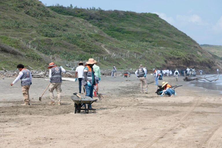 Atienden 3.5 kilómetros de litoral en Alvarado con brigadas de saneamiento