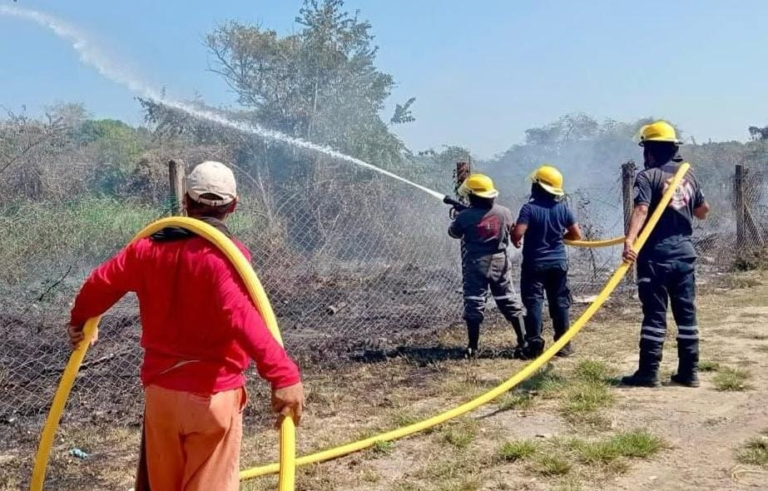 Altas temperaturas aumentan incendios
