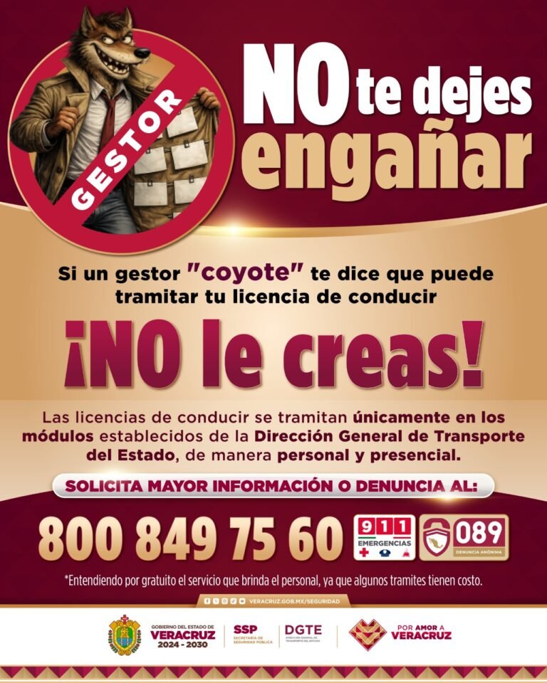 Licencias sin intermediarios: alertan por fraudes en trámites