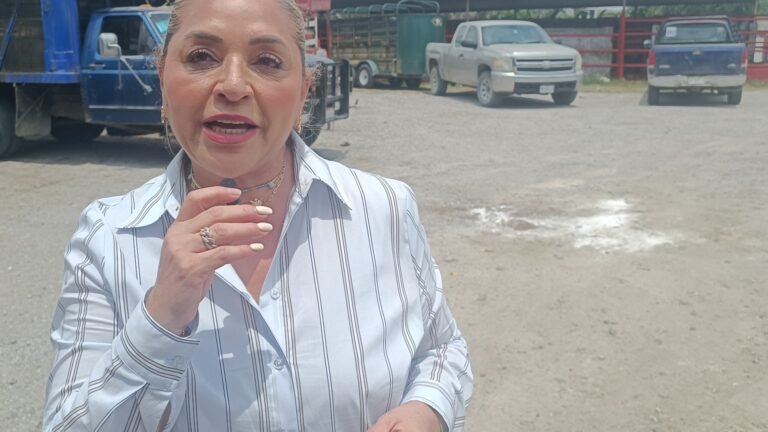 Rastro Municipal es una necesidad urgente para Pánuco: Maritza González