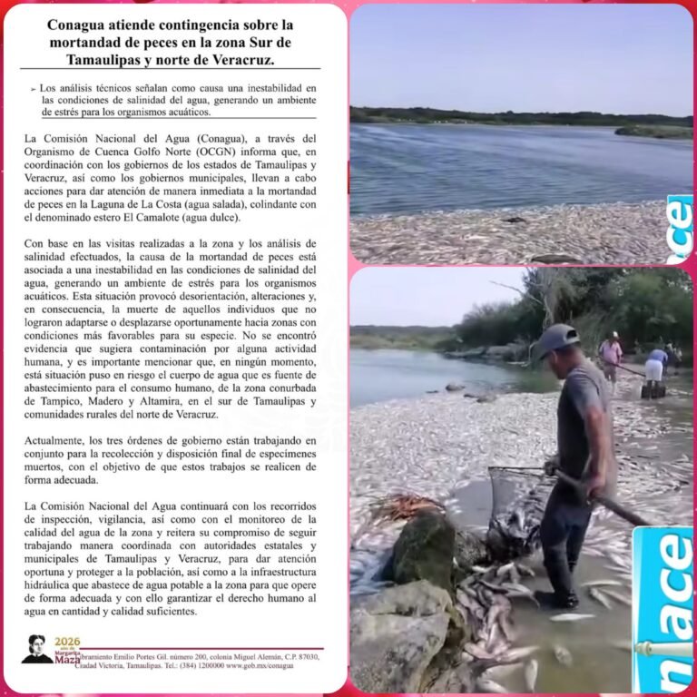 Conagua atiende mortandad de peces en sur de Tamaulipas y norte de Veracruz