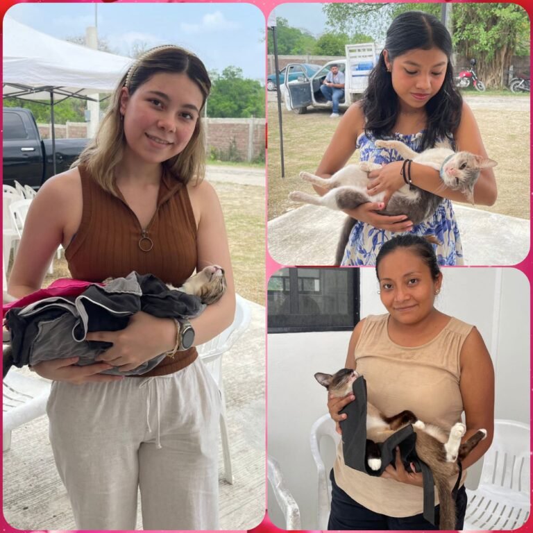 Impulsan bienestar animal con jornada masiva de esterilización en Tantoyuca