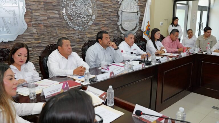 El Gobierno de Altamira aprueba dos reglamentos clave para mujeres y cambio climático