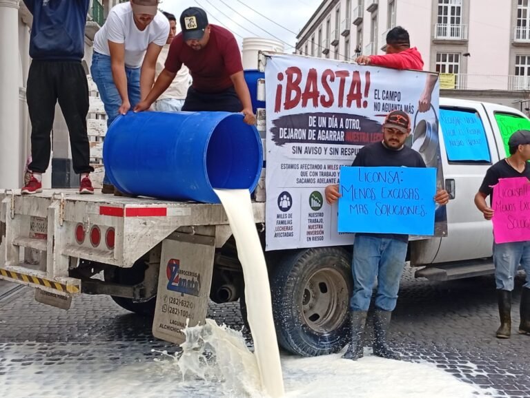 Productores lecheros  tiran miles de litros ante abandono de Leche para el Bienestar