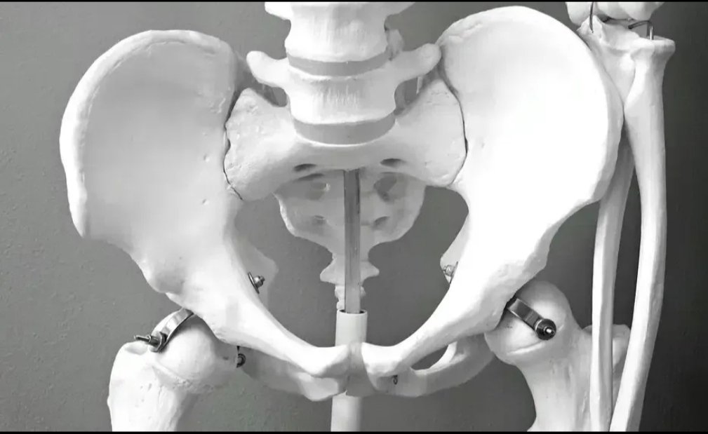 Descubren mecanismo que impulsa la metástasis ósea del cáncer