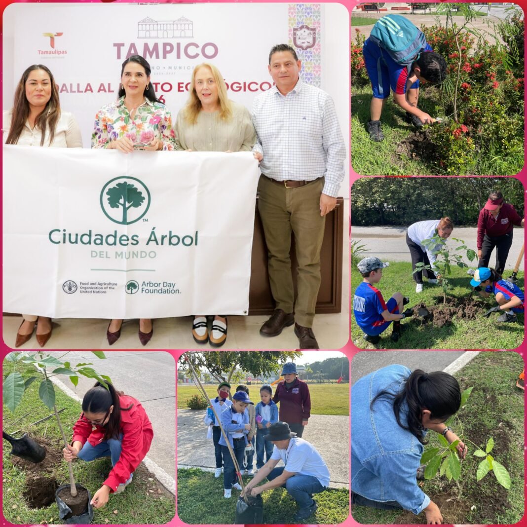 Tampico recibe reconocimiento internacional Tree Cities of the World 2025 por su compromiso con el medio ambiente
