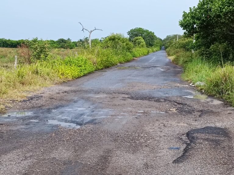 Reparación de la Brecha Huasteca detonará el turismo regional: «Cachitas»