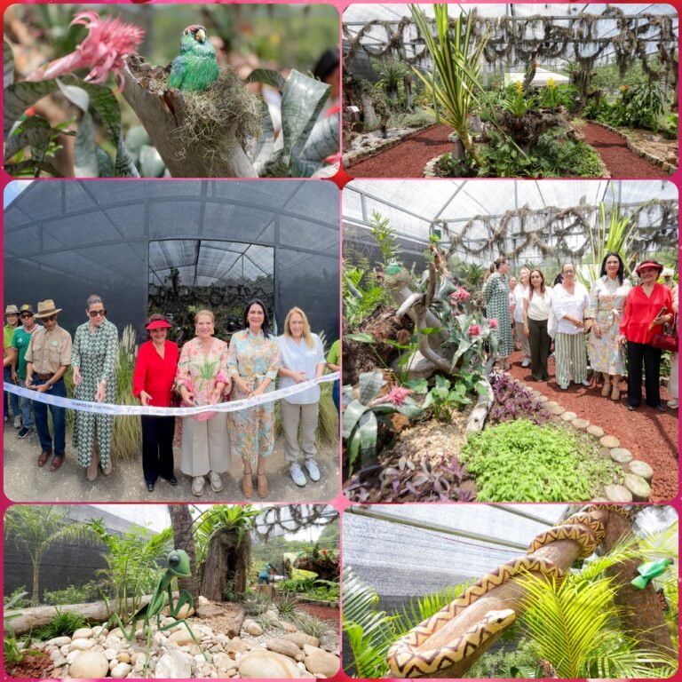 Mónica Villarreal inaugura el Bromeliario y fortalece la oferta turística y ambiental de Tampico