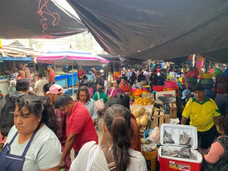 Persisten las bajas ventas; comerciantes de Tantoyuca esperan repunte económico