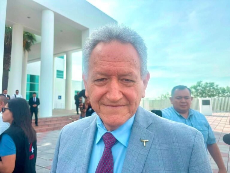La instrucción es fortalecer el sistema de salud: Ricardo Guerrero